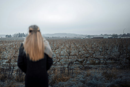 Heart of Winter Wines