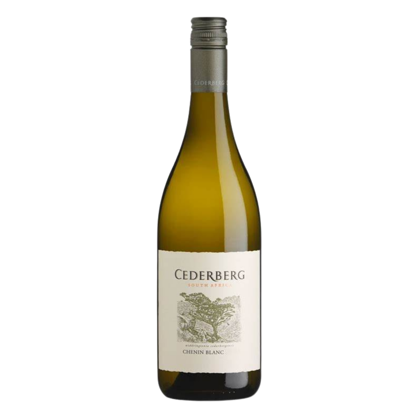 Cederberg 2025 Chenin Blanc