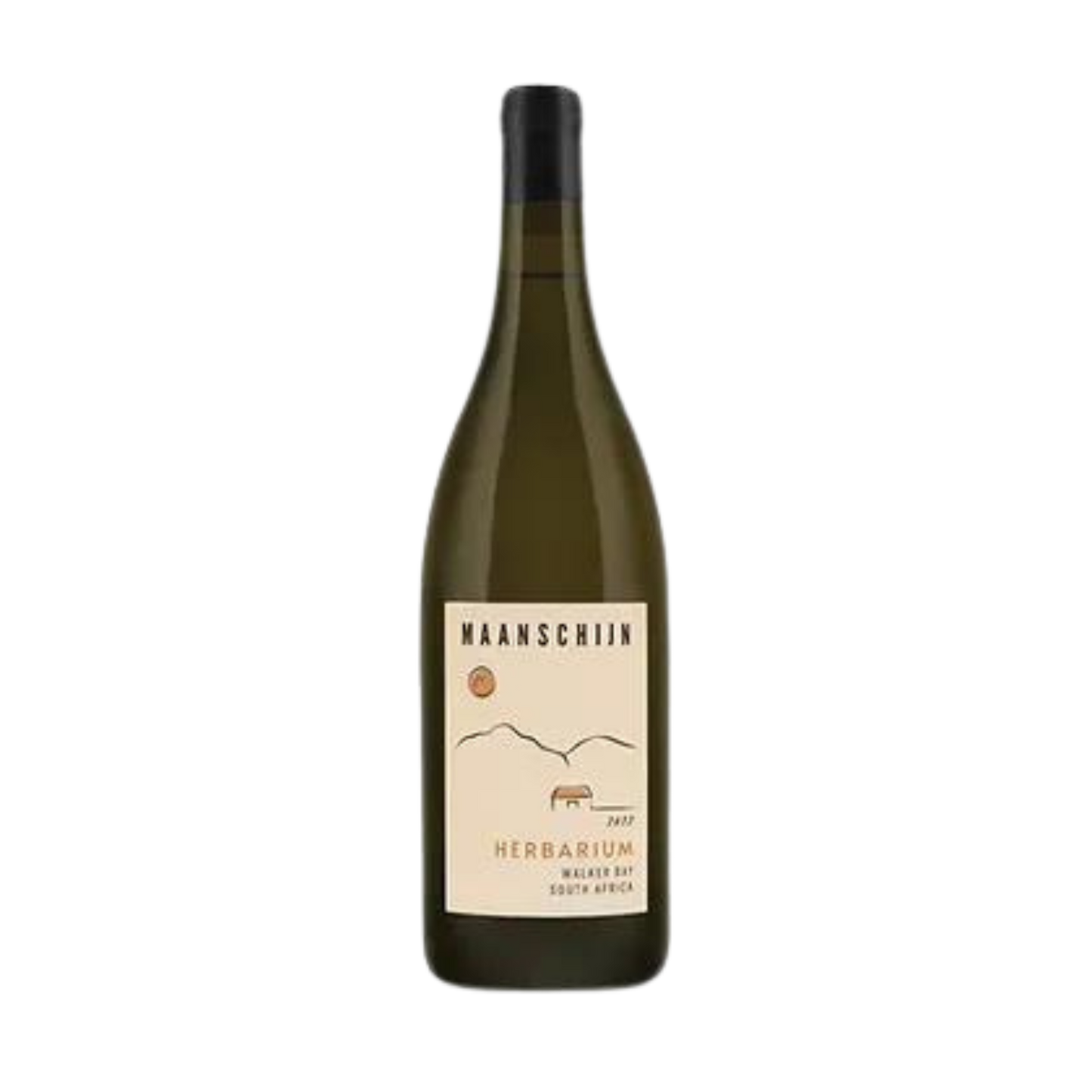 Maanschijn 2024 Herbarium White