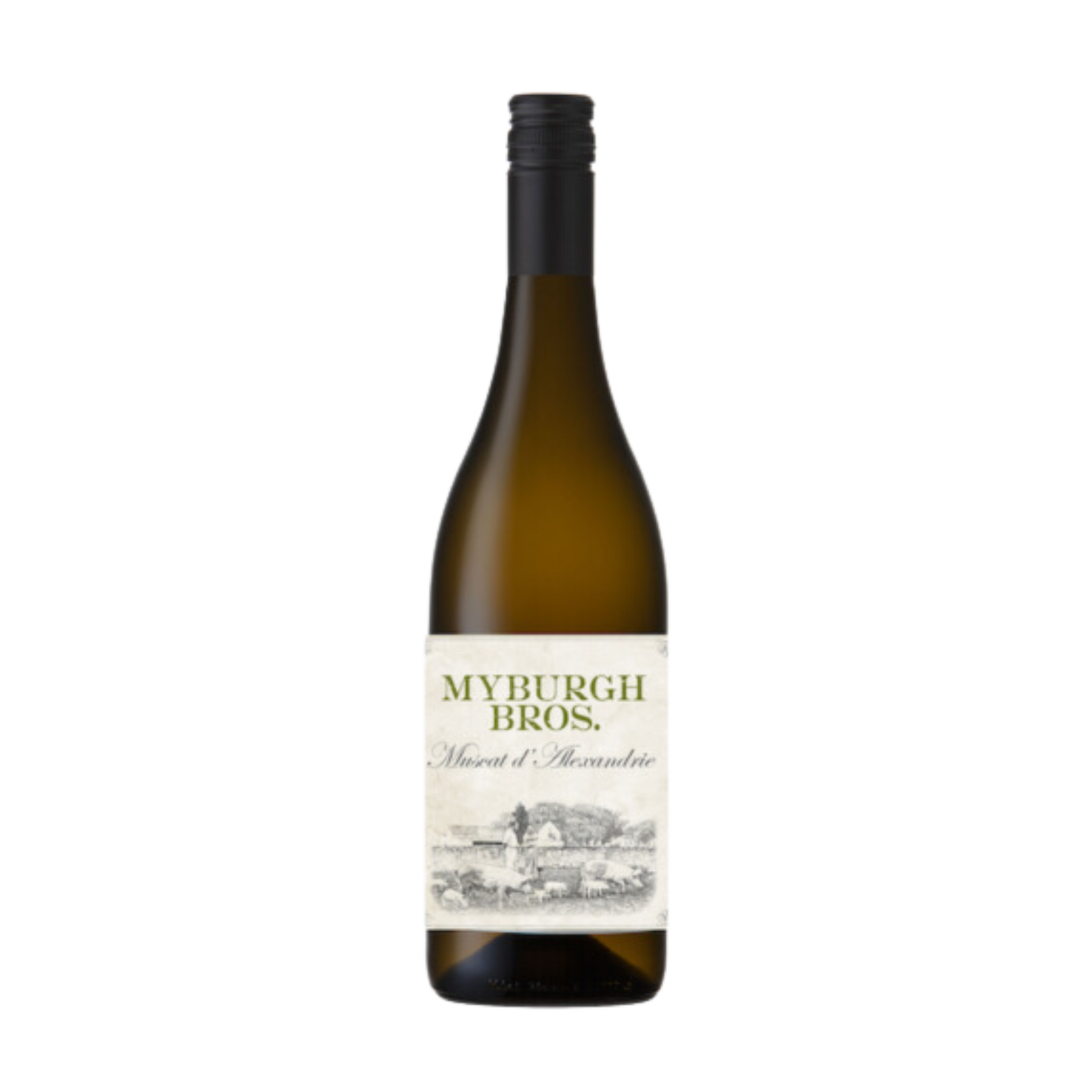 Myburgh Bros 2023 Muscat d'Alexandre