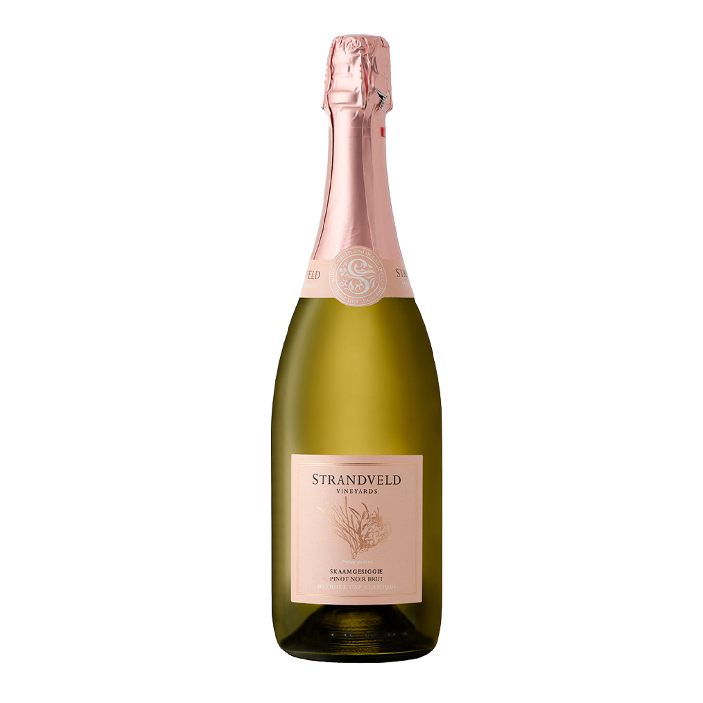 Strandveld 2022 Skaamgesiggie Pinot Noir Brut Rosé